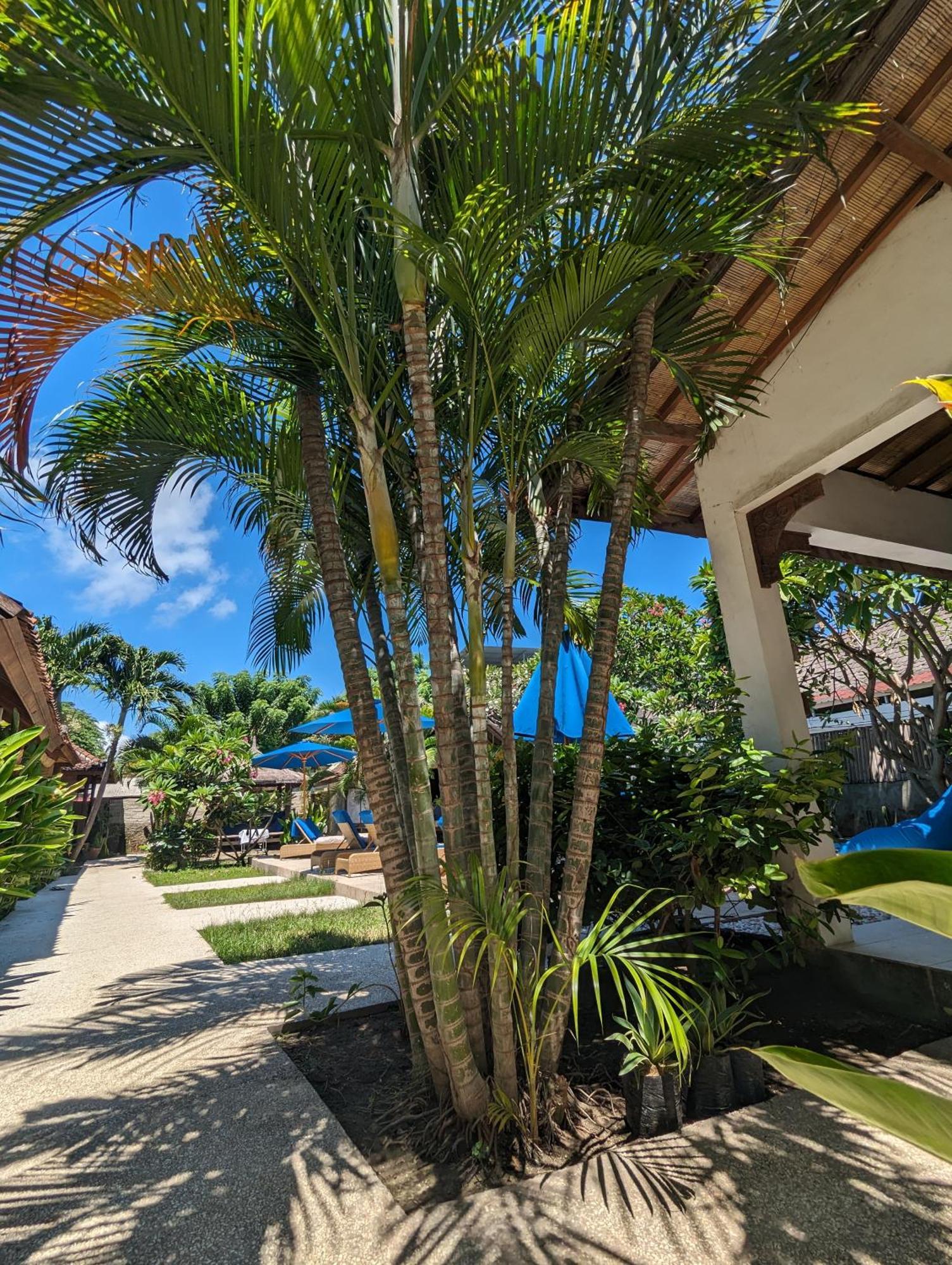 Indigo Bungalows Gili Trawangan Exteriér fotografie