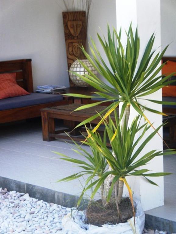 Indigo Bungalows Gili Trawangan Exteriér fotografie